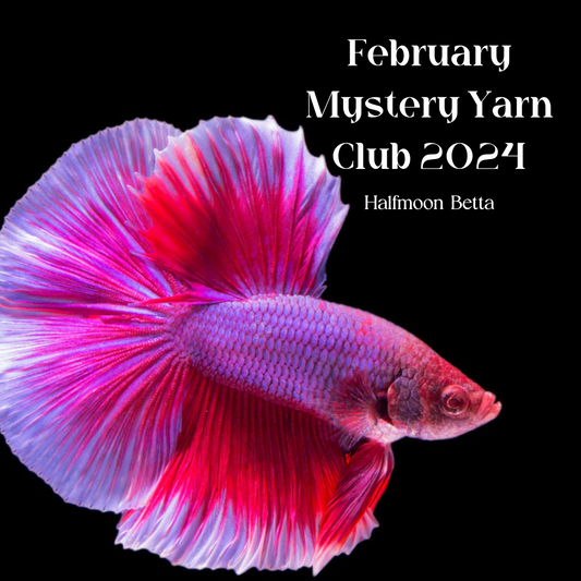 February Betta Club Mystery Yarn